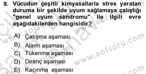 Birey ve Davranış Dersi 2016 - 2017 Yılı (Final) Dönem Sonu Sınav Soruları 9. Soru