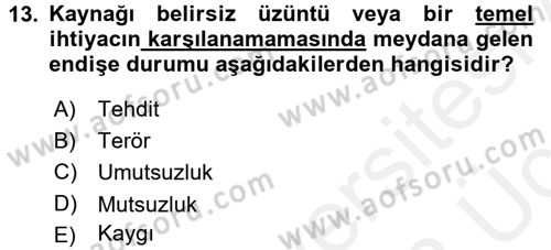 Birey ve Davranış Dersi 2017 - 2018 Yılı 3 Ders Sınavı 13. Soru