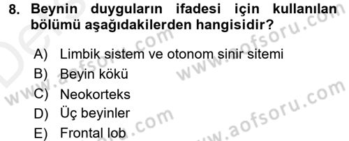 Birey ve Davranış Dersi 2017 - 2018 Yılı 3 Ders Sınav Soruları 8. Soru
