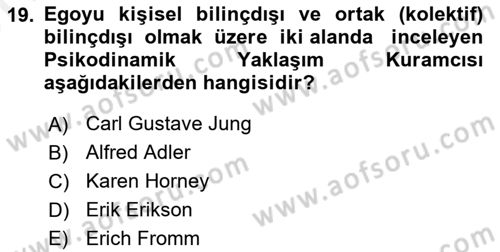 Birey ve Davranış Dersi 2017 - 2018 Yılı (Vize) Ara Sınav Soruları 19. Soru