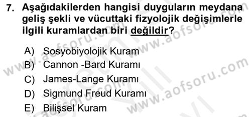 Birey ve Davranış Dersi 2017 - 2018 Yılı (Vize) Ara Sınav Soruları 7. Soru