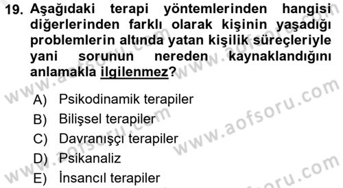 Birey ve Davranış Dersi 2017 - 2018 Yılı (Final) Dönem Sonu Sınav Soruları 19. Soru