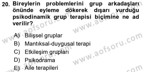 Birey ve Davranış Dersi 2017 - 2018 Yılı (Final) Dönem Sonu Sınav Soruları 20. Soru