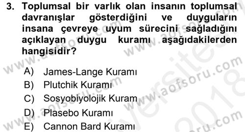 Birey ve Davranış Dersi 2017 - 2018 Yılı (Final) Dönem Sonu Sınav Soruları 3. Soru