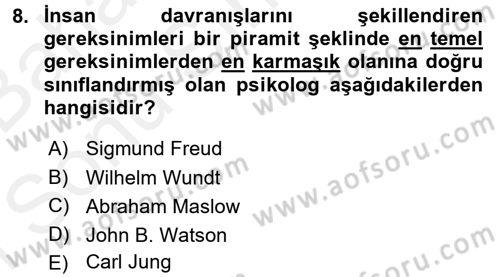 Birey ve Davranış Dersi 2017 - 2018 Yılı (Final) Dönem Sonu Sınav Soruları 8. Soru