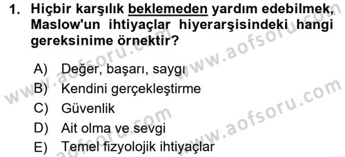 Birey ve Davranış Dersi 2018 - 2019 Yılı 3 Ders Sınav Soruları 1. Soru