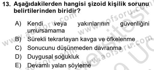 Birey ve Davranış Dersi 2018 - 2019 Yılı 3 Ders Sınav Soruları 13. Soru