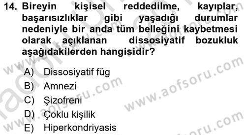 Birey ve Davranış Dersi 2018 - 2019 Yılı 3 Ders Sınav Soruları 14. Soru