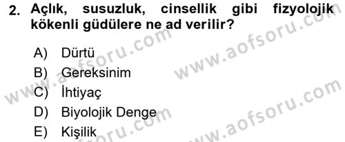 Birey ve Davranış Dersi 2018 - 2019 Yılı 3 Ders Sınav Soruları 2. Soru