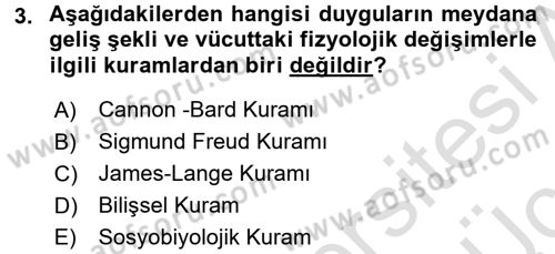 Birey ve Davranış Dersi 2018 - 2019 Yılı 3 Ders Sınav Soruları 3. Soru