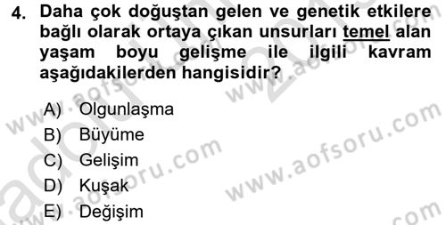 Birey ve Davranış Dersi 2018 - 2019 Yılı 3 Ders Sınav Soruları 4. Soru