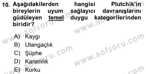 Birey ve Davranış Dersi 2018 - 2019 Yılı (Vize) Ara Sınav Soruları 10. Soru