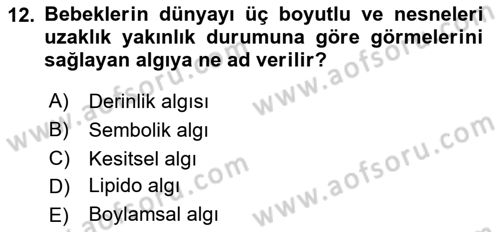 Birey ve Davranış Dersi 2018 - 2019 Yılı (Vize) Ara Sınav Soruları 12. Soru