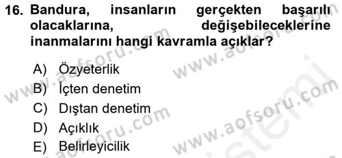 Birey ve Davranış Dersi 2018 - 2019 Yılı (Vize) Ara Sınav Soruları 16. Soru