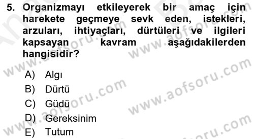 Birey ve Davranış Dersi 2018 - 2019 Yılı (Vize) Ara Sınav Soruları 5. Soru