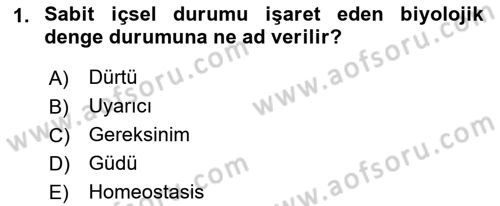 Birey ve Davranış Dersi 2018 - 2019 Yılı (Final) Dönem Sonu Sınav Soruları 1. Soru