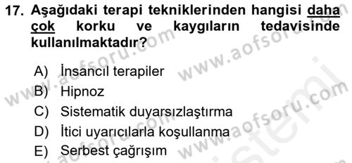 Birey ve Davranış Dersi 2018 - 2019 Yılı (Final) Dönem Sonu Sınav Soruları 17. Soru