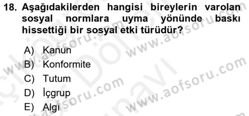 Birey ve Davranış Dersi 2018 - 2019 Yılı (Final) Dönem Sonu Sınav Soruları 18. Soru