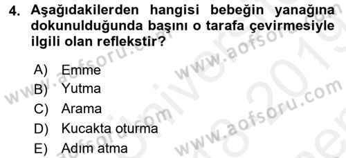 Birey ve Davranış Dersi 2018 - 2019 Yılı (Final) Dönem Sonu Sınav Soruları 4. Soru