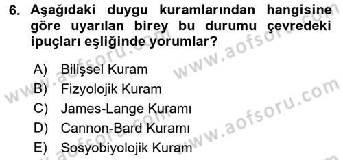 Birey ve Davranış Dersi 2018 - 2019 Yılı (Final) Dönem Sonu Sınav Soruları 6. Soru