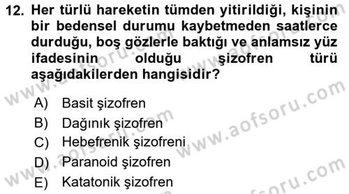Birey ve Davranış Dersi 2018 - 2019 Yılı Yaz Okulu Sınav Soruları 12. Soru