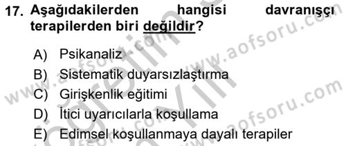 Birey ve Davranış Dersi 2018 - 2019 Yılı Yaz Okulu Sınav Soruları 17. Soru