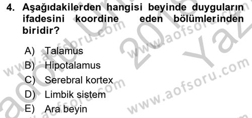 Birey ve Davranış Dersi 2018 - 2019 Yılı Yaz Okulu Sınav Soruları 4. Soru