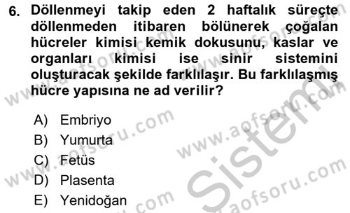 Birey ve Davranış Dersi 2018 - 2019 Yılı Yaz Okulu Sınav Soruları 6. Soru