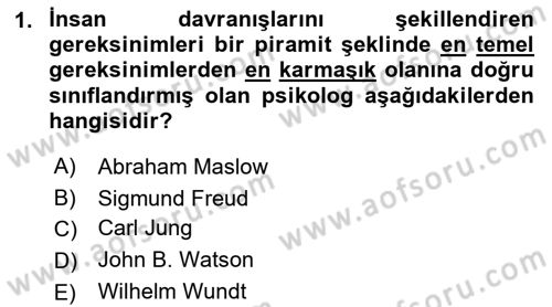 Birey ve Davranış Dersi 2021 - 2022 Yılı (Vize) Ara Sınav Soruları 1. Soru