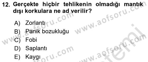 Birey ve Davranış Dersi 2021 - 2022 Yılı (Final) Dönem Sonu Sınav Soruları 12. Soru