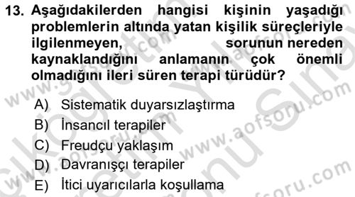 Birey ve Davranış Dersi 2021 - 2022 Yılı (Final) Dönem Sonu Sınav Soruları 13. Soru