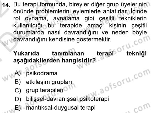 Birey ve Davranış Dersi 2021 - 2022 Yılı (Final) Dönem Sonu Sınav Soruları 14. Soru