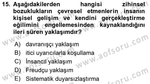 Birey ve Davranış Dersi 2021 - 2022 Yılı (Final) Dönem Sonu Sınav Soruları 15. Soru