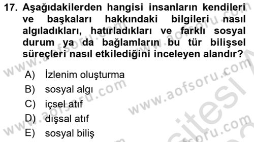 Birey ve Davranış Dersi 2021 - 2022 Yılı (Final) Dönem Sonu Sınav Soruları 17. Soru