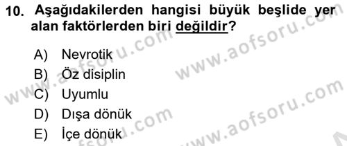 Birey ve Davranış Dersi 2022 - 2023 Yılı Yaz Okulu Sınav Soruları 10. Soru