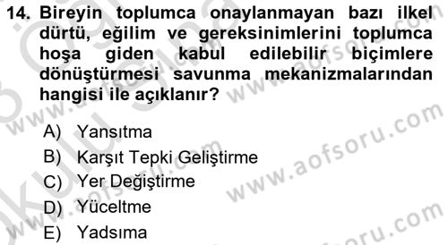 Birey ve Davranış Dersi 2022 - 2023 Yılı Yaz Okulu Sınav Soruları 14. Soru