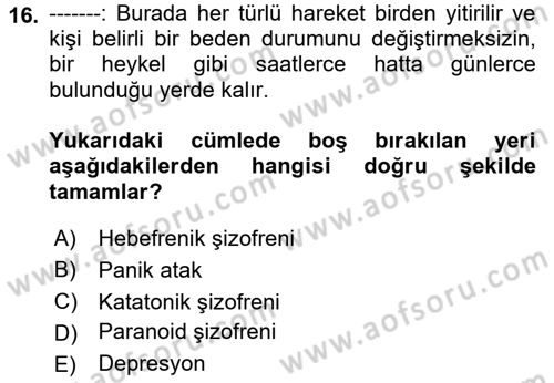 Birey ve Davranış Dersi 2022 - 2023 Yılı Yaz Okulu Sınav Soruları 16. Soru