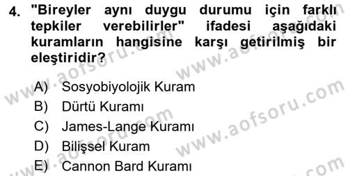 Birey ve Davranış Dersi 2022 - 2023 Yılı Yaz Okulu Sınav Soruları 4. Soru