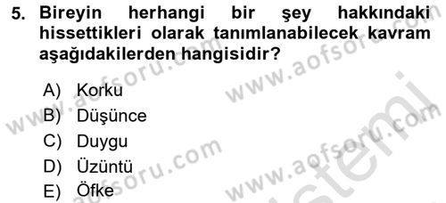 Birey ve Davranış Dersi 2022 - 2023 Yılı Yaz Okulu Sınav Soruları 5. Soru