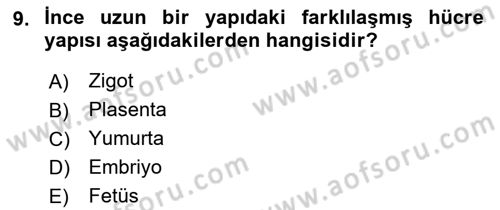 Birey ve Davranış Dersi 2022 - 2023 Yılı Yaz Okulu Sınav Soruları 9. Soru