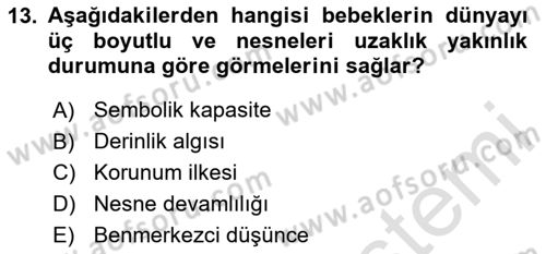 Birey ve Davranış Dersi 2023 - 2024 Yılı (Vize) Ara Sınav Soruları 13. Soru