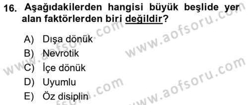 Birey ve Davranış Dersi 2023 - 2024 Yılı (Vize) Ara Sınav Soruları 16. Soru