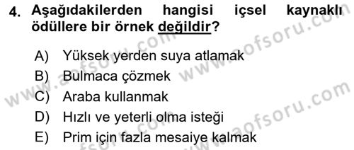 Birey ve Davranış Dersi 2023 - 2024 Yılı (Vize) Ara Sınav Soruları 4. Soru