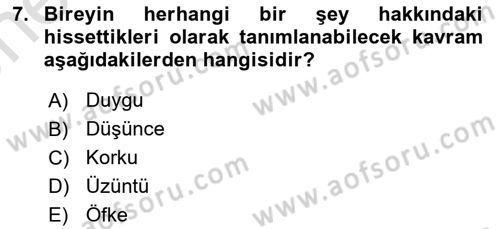 Birey ve Davranış Dersi 2023 - 2024 Yılı (Vize) Ara Sınav Soruları 7. Soru