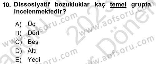 Birey ve Davranış Dersi 2023 - 2024 Yılı (Final) Dönem Sonu Sınav Soruları 10. Soru