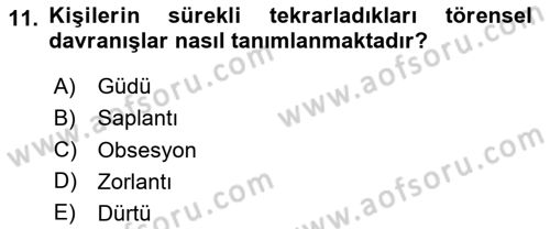 Birey ve Davranış Dersi 2023 - 2024 Yılı (Final) Dönem Sonu Sınav Soruları 11. Soru