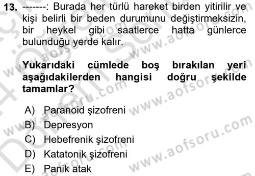 Birey ve Davranış Dersi 2023 - 2024 Yılı (Final) Dönem Sonu Sınav Soruları 13. Soru