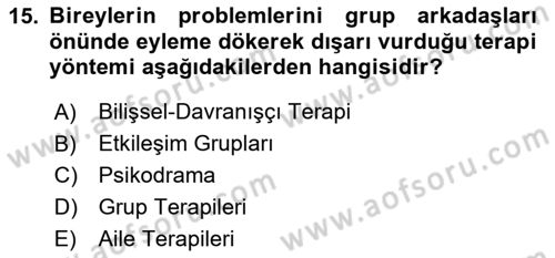 Birey ve Davranış Dersi 2023 - 2024 Yılı (Final) Dönem Sonu Sınav Soruları 15. Soru