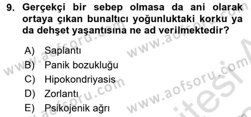 Birey ve Davranış Dersi 2023 - 2024 Yılı (Final) Dönem Sonu Sınav Soruları 9. Soru