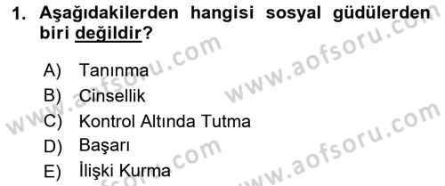 Birey ve Davranış Dersi 2024 - 2025 Yılı (Vize) Ara Sınav Soruları 1. Soru